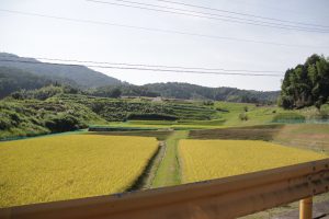 獺祭から帰る途中の田んぼ
